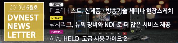 DVNEST_newsletter_201906_1