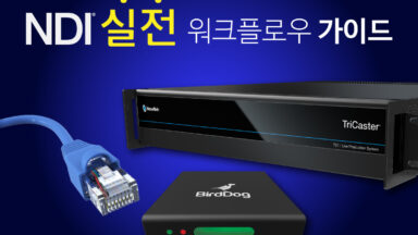 ndi_workflow_title01